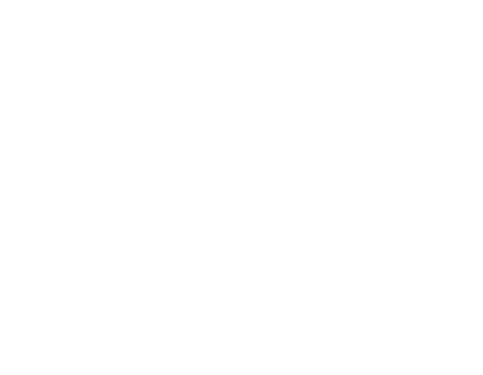 IBM Partner